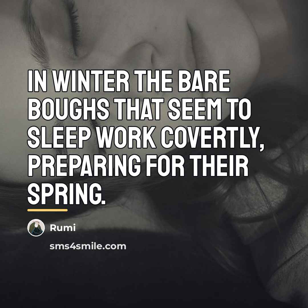 “In Winter the bare boughs that seem to sleep Work…” quote by Rumi