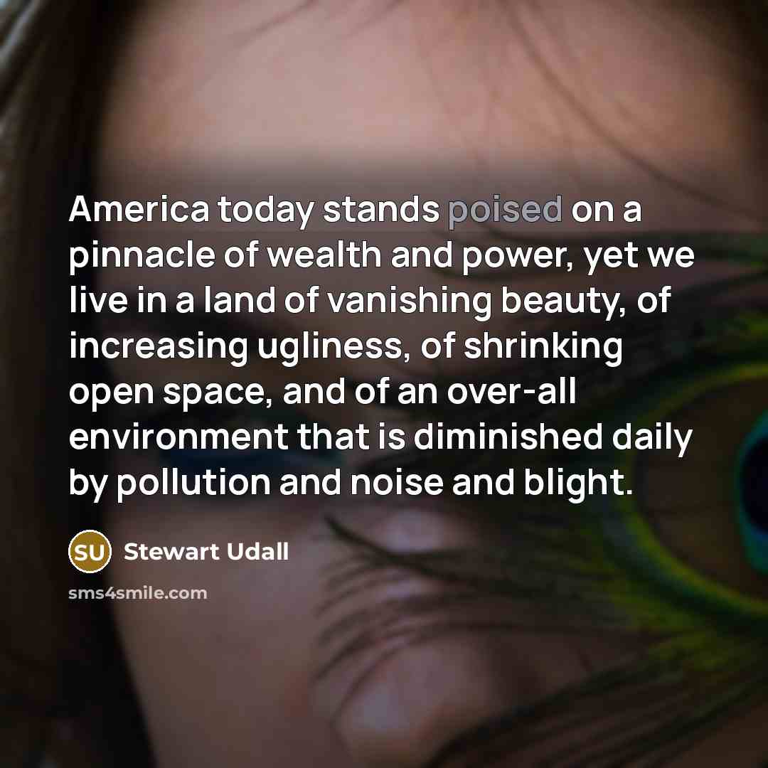 “America today stands poised on a pinnacle of wealth and…” quote by Stewart Udall