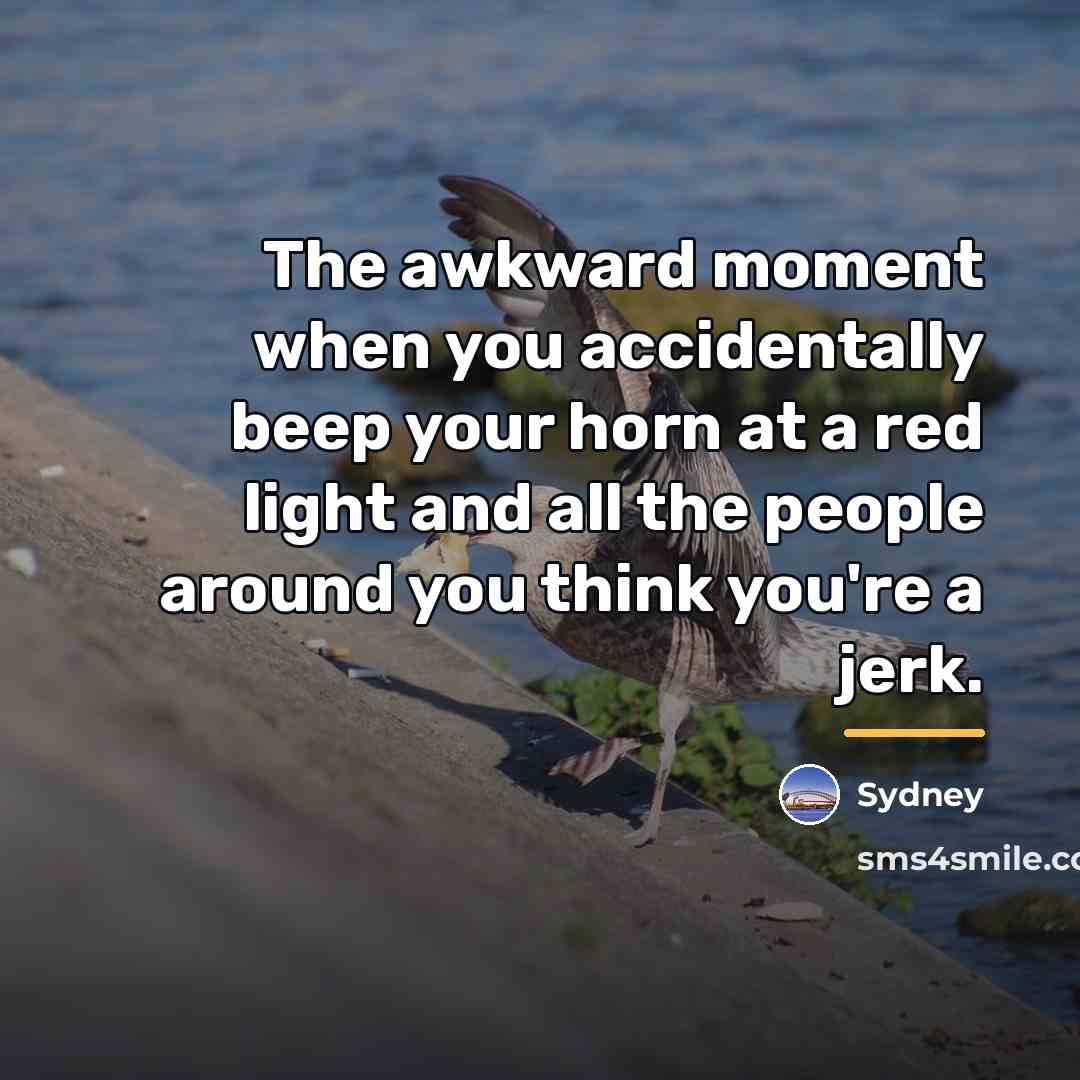 “The awkward moment when you accidentally beep your horn at…” quote by Sydney
