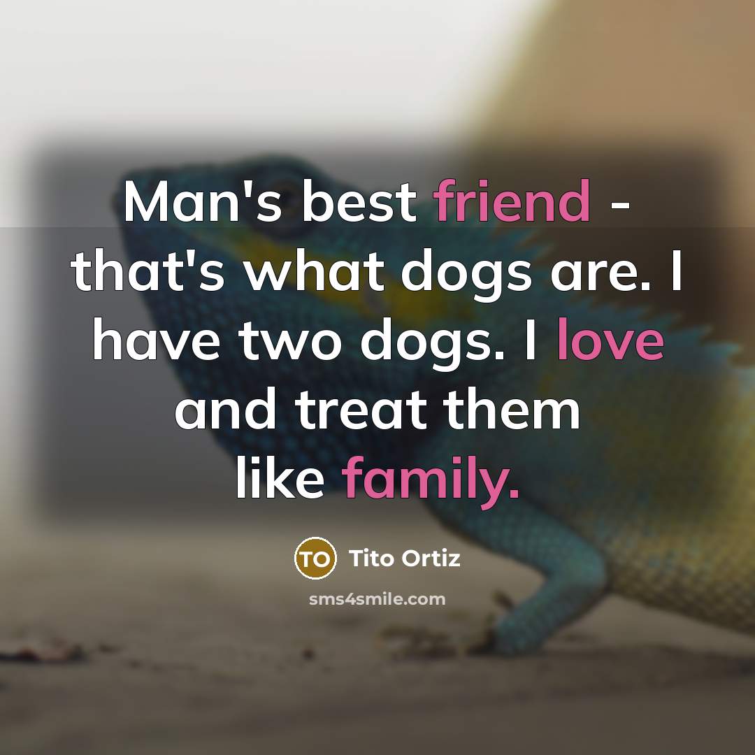 “Man's best friend - that's what dogs are. I have two dogs. I love and treat them like family.” quote by Tito Ortiz