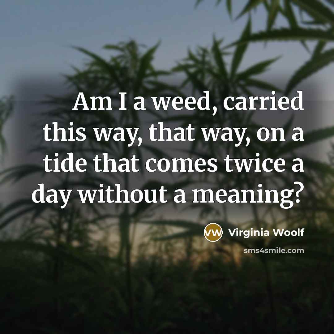 “Am I a weed, carried this way, that way, on…” quote by Virginia Woolf