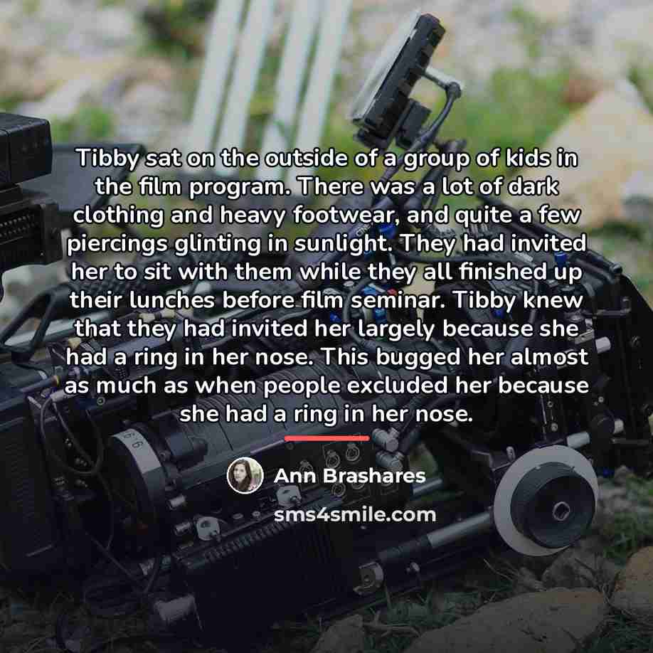 “Tibby sat on the outside of a group of kids…” quote by Ann Brashares