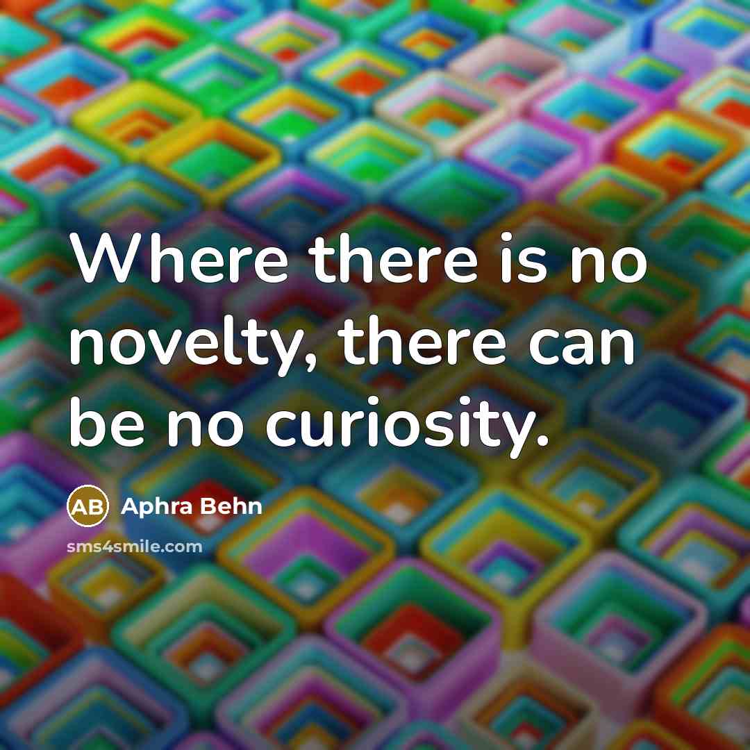 “Where there is no novelty, there can be no curiosity.…” quote by Aphra Behn