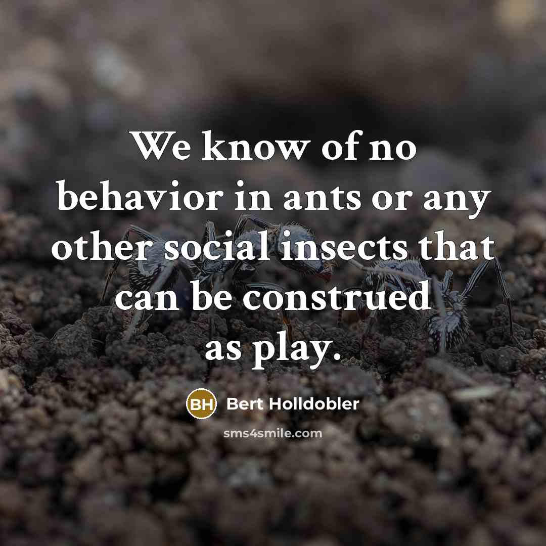 “We know of no behavior in ants or any other…” quote by Bert Holldobler