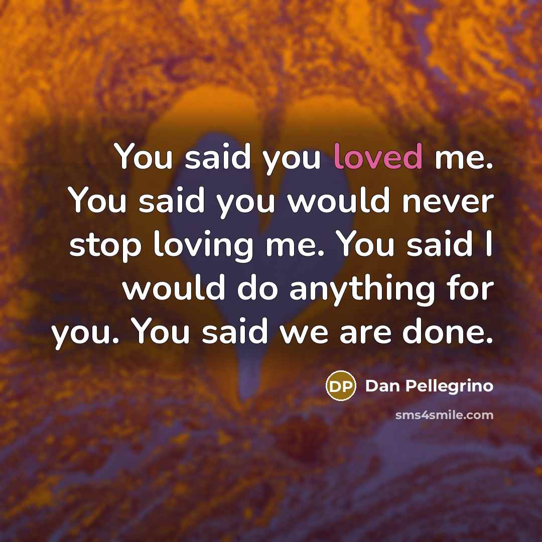 “You said you loved me. You said you would never…” quote by Dan Pellegrino