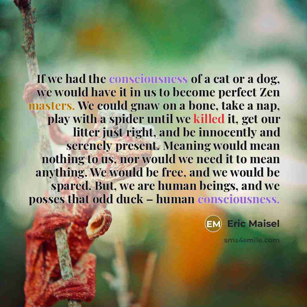 “If we had the consciousness of a cat or a dog, we would have it in us to become perfect Zen masters. We could gnaw on a bone, take a nap, play with a spider until we killed it, get our litter just right, and be innocently and serenely present. Meaning would mean nothing to us, nor would we need it…” quote by Eric Maisel