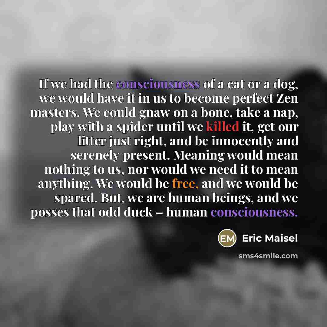 “If we had the consciousness of a cat or a…” quote by Eric Maisel
