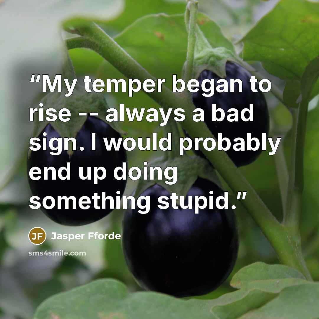 “My temper began to rise -- always a bad sign. I would probably end up doing something stupid.” quote by Jasper Fforde