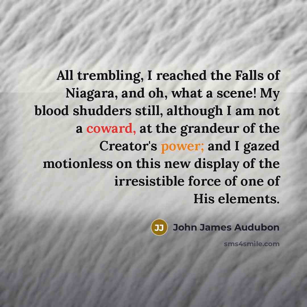“All trembling, I reached the Falls of Niagara, and oh,…” quote by John James Audubon