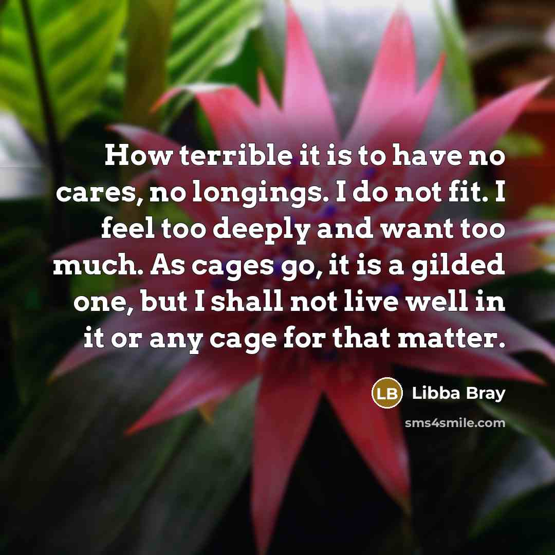 “How terrible it is to have no cares, no longings.…” quote by Libba Bray