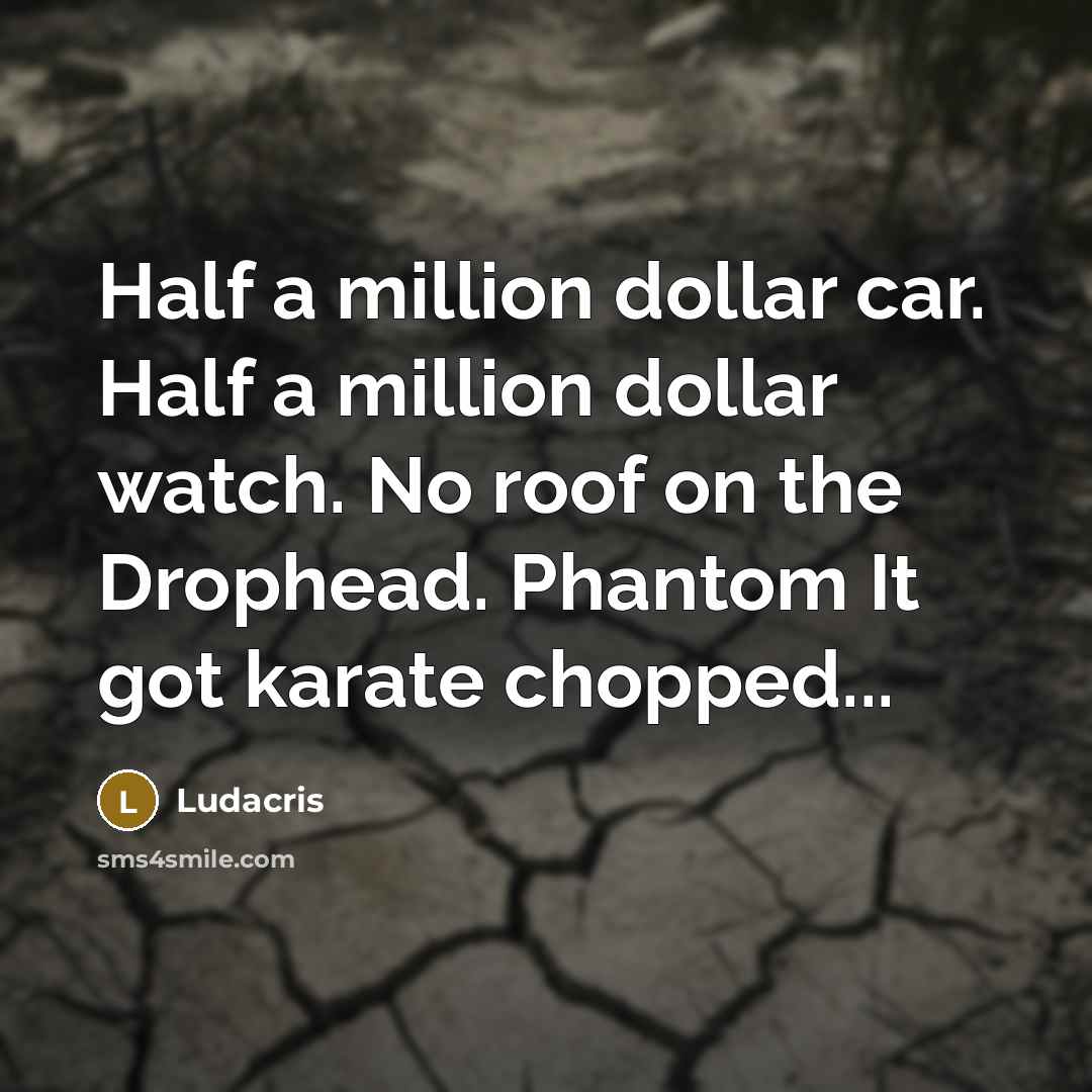 “Half a million dollar car. Half a million dollar watch.…” quote by Ludacris
