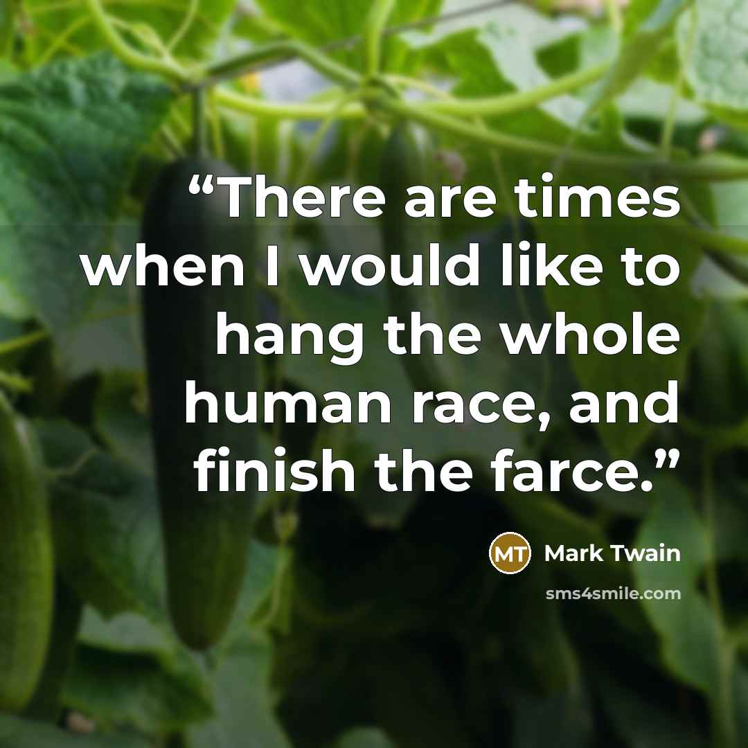 “There are times when I would like to hang the whole human race, and finish the farce.” quote by Mark Twain