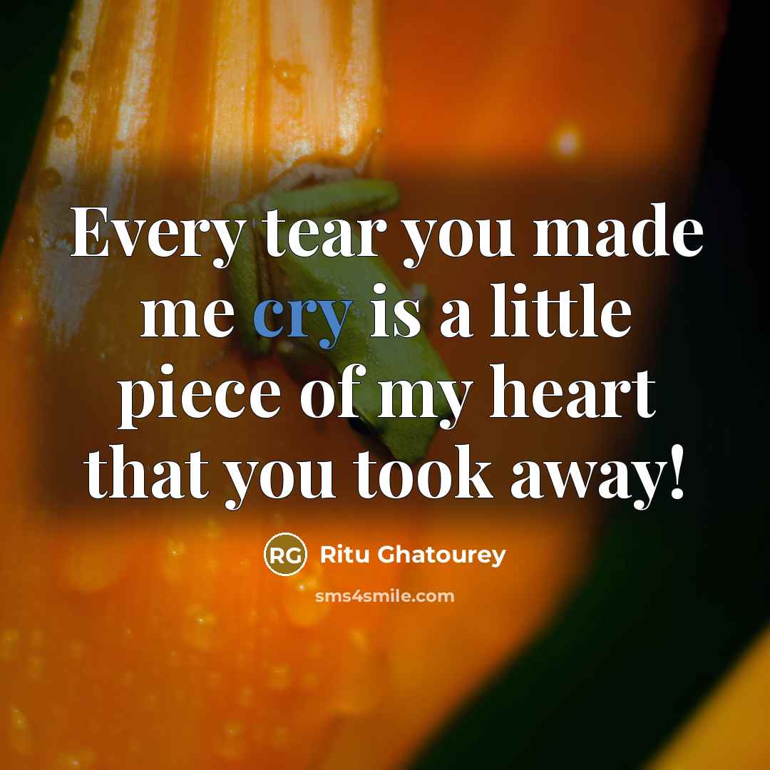 “Every tear you made me cry is a little piece of my heart that you took away!” quote by Ritu Ghatourey