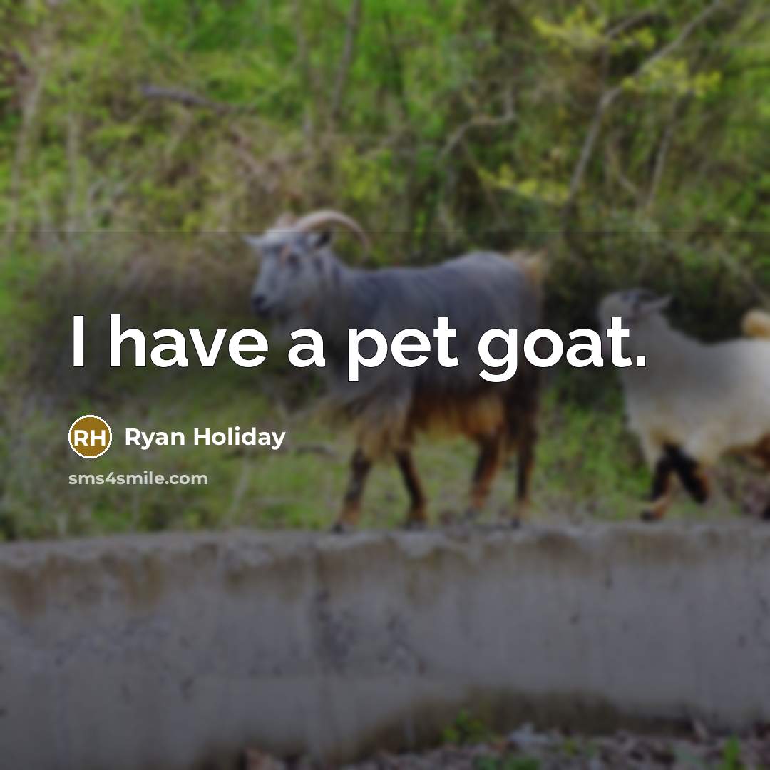 “I have a pet goat.…” quote by Ryan Holiday