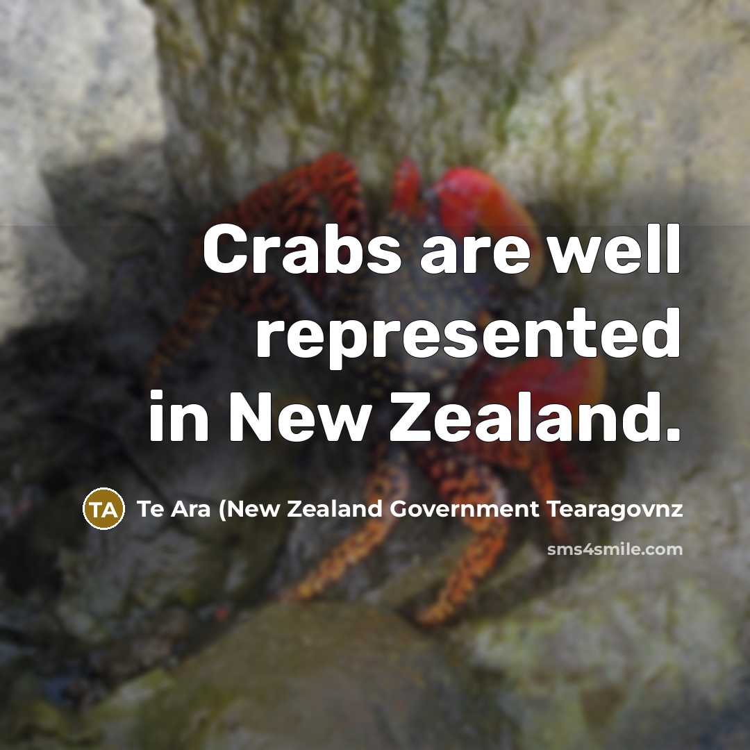 “Crabs are well represented in New Zealand.…” quote by Te Ara (New Zealand Government Tearagovnz