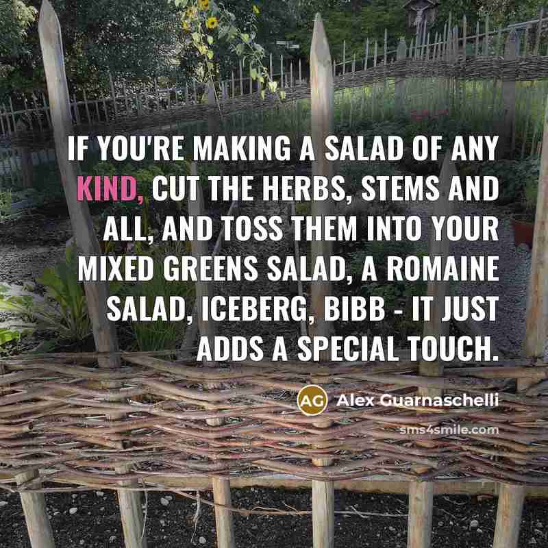 “If you're making a salad of any kind, cut the…” quote by Alex Guarnaschelli