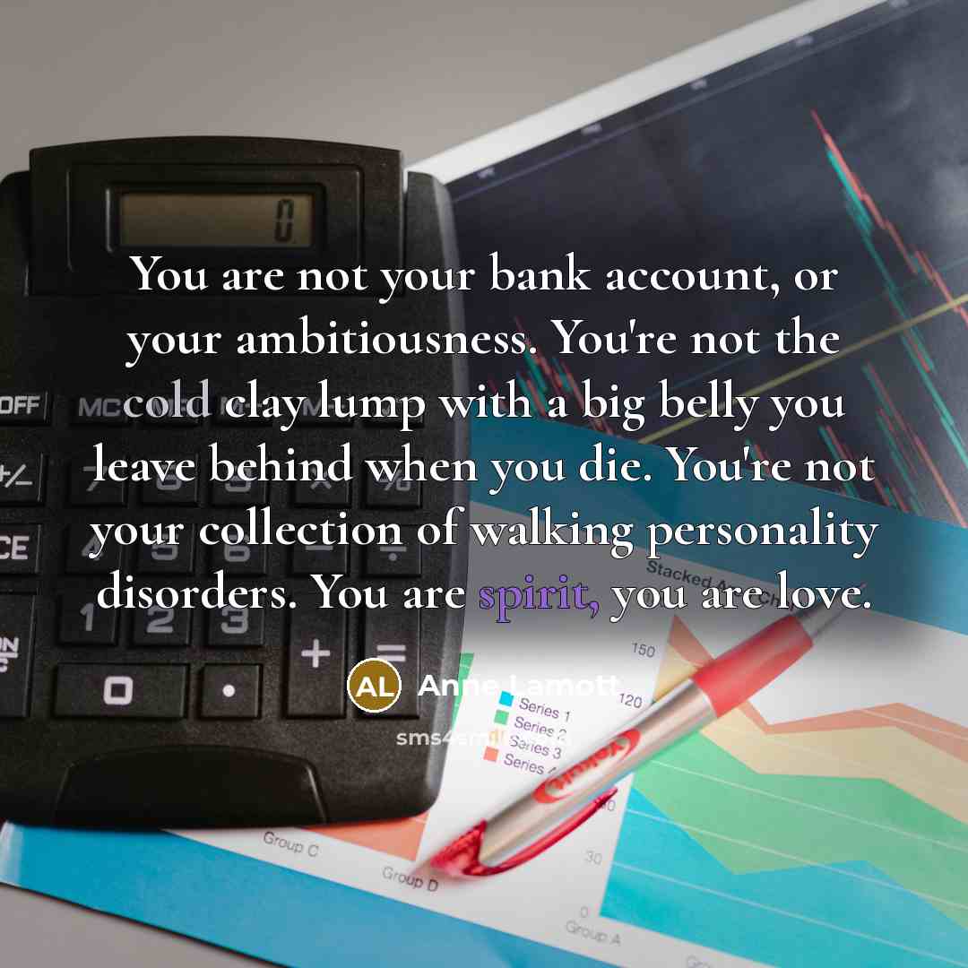 “You are not your bank account, or your ambitiousness. You're…” quote by Anne Lamott