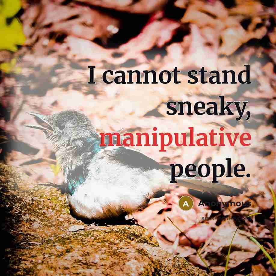 “I cannot stand sneaky, manipulative people.” quote by Anonymous