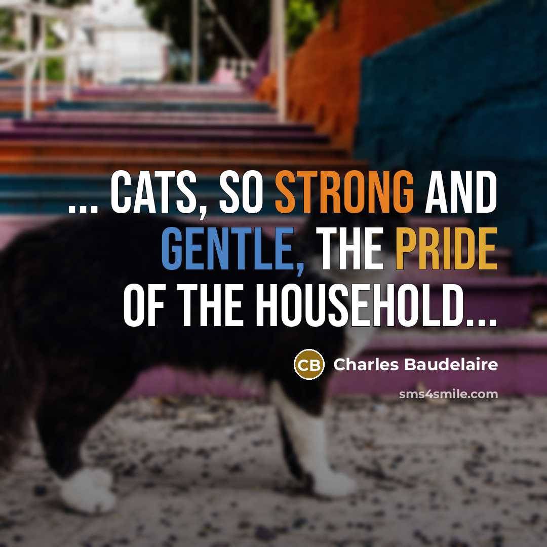 “... cats, so strong and gentle, the pride of the…” quote by Charles Baudelaire
