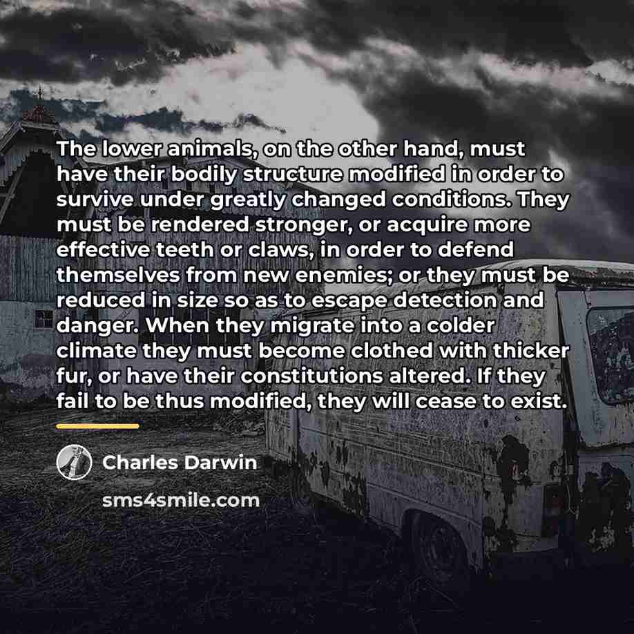 “The lower animals, on the other hand, must have their…” quote by Charles Darwin