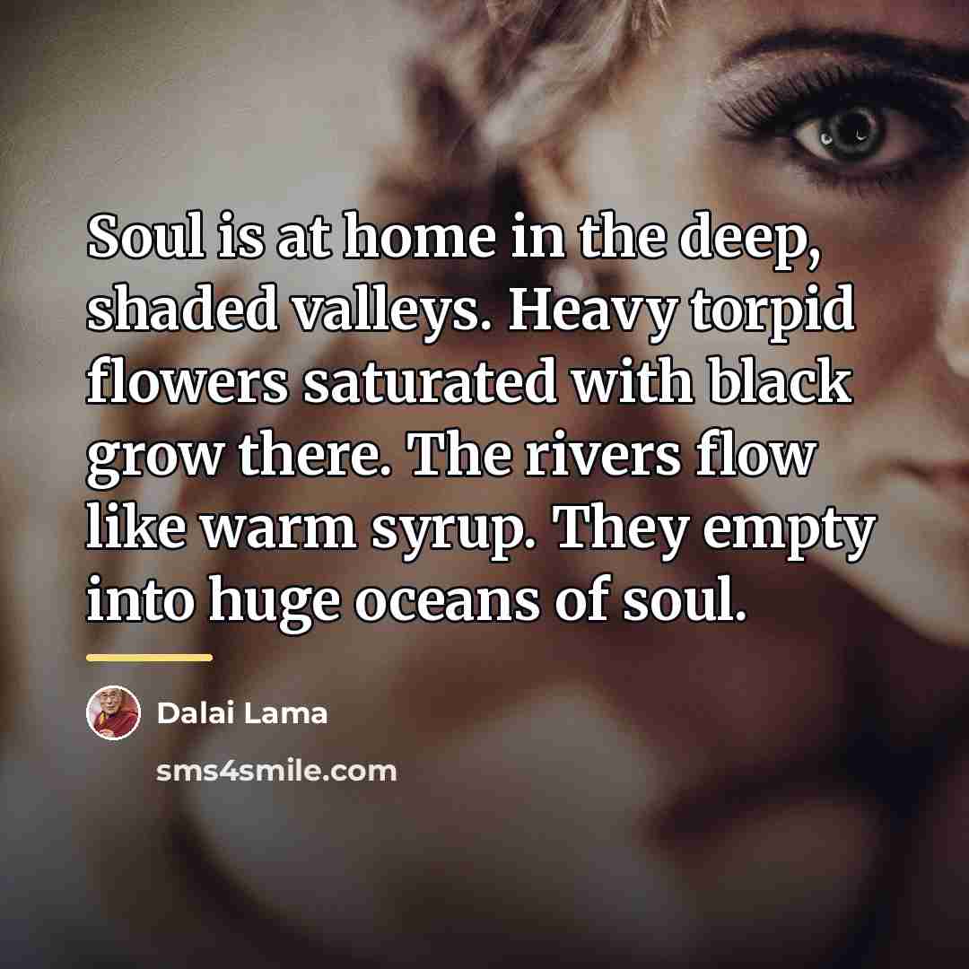“Soul is at home in the deep, shaded valleys. Heavy…” quote by Dalai Lama