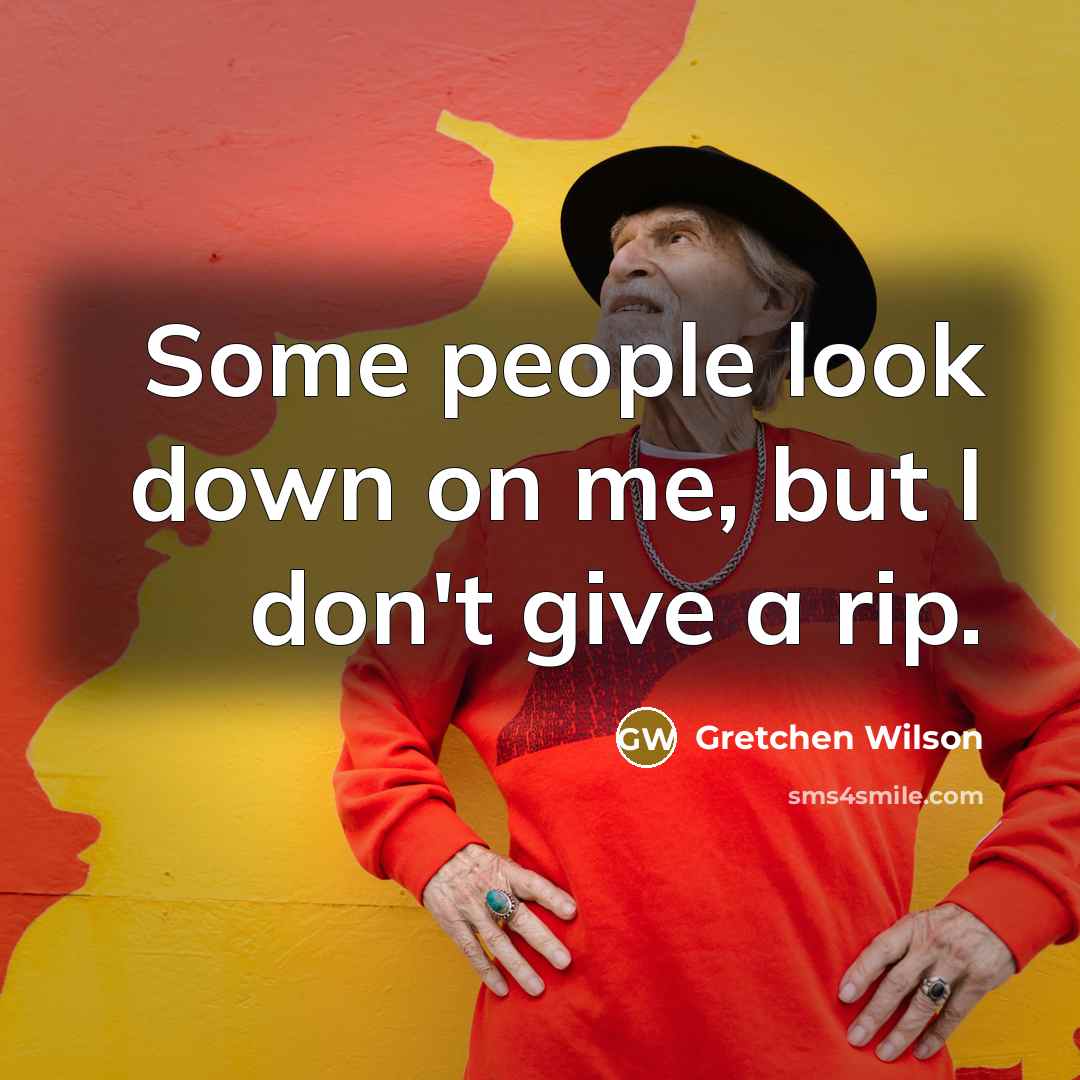 “Some people look down on me, but I don't give…” quote by Gretchen Wilson