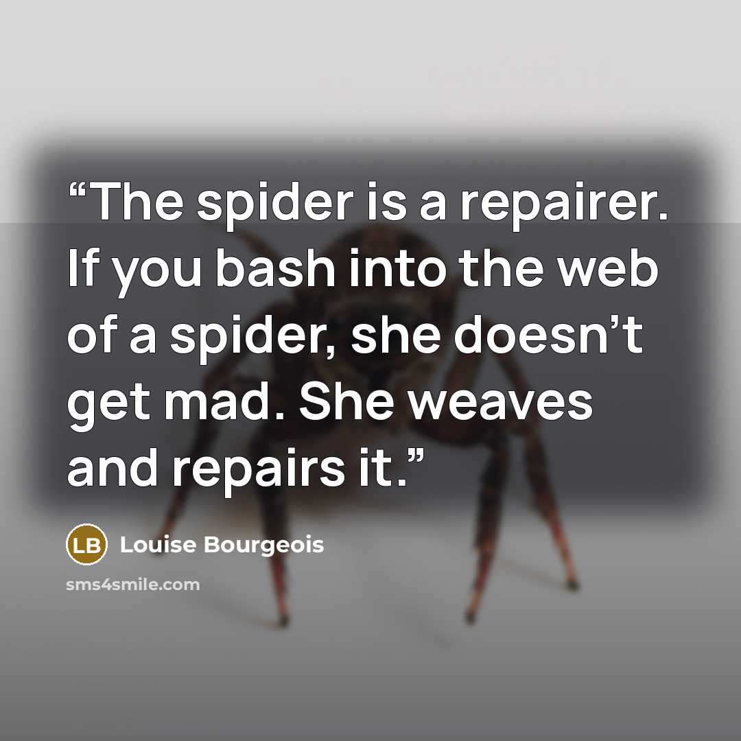 “The spider is a repairer. If you bash into the web of a spider, she doesn’t get mad. She weaves and repairs it.” quote by Louise Bourgeois