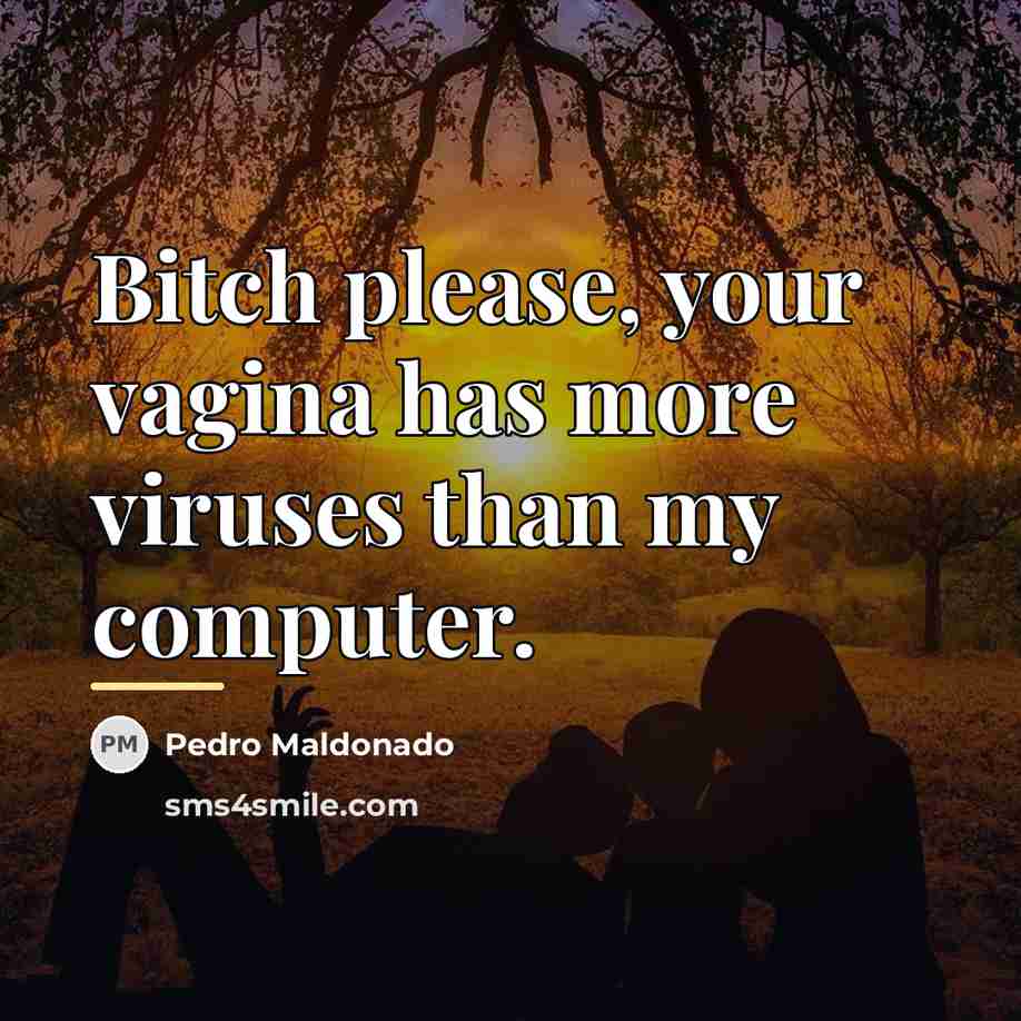 “Bitch please, your vagina has more viruses than my computer.…” quote by Pedro Maldonado