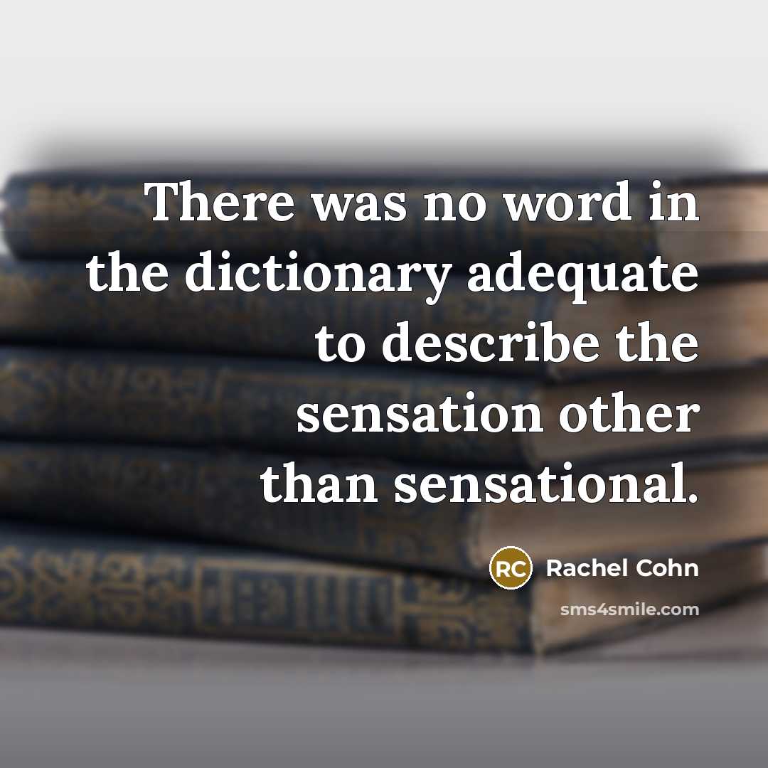“There was no word in the dictionary adequate to describe…” quote by Rachel Cohn