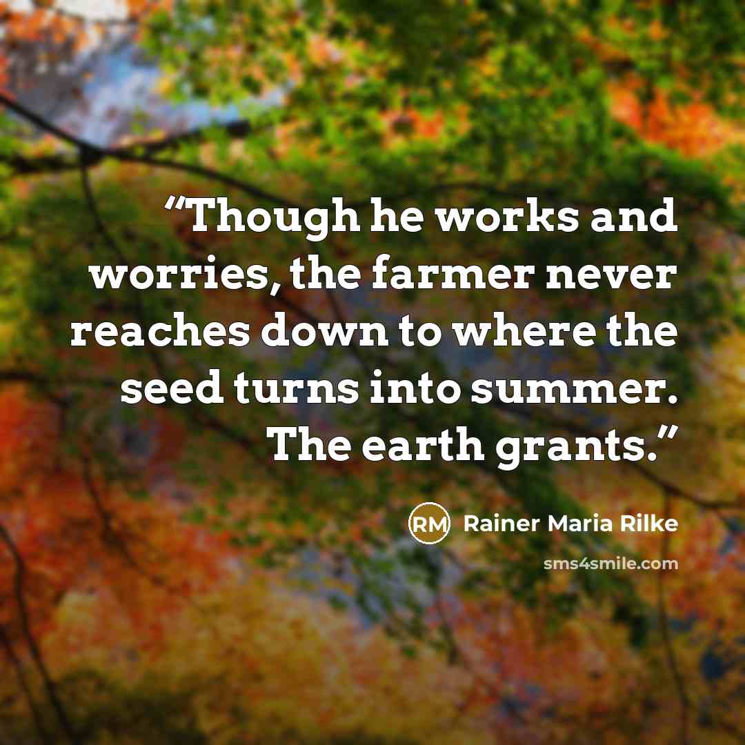 “Though he works and worries, the farmer never reaches down to where the seed turns into summer. The earth grants.” quote by Rainer Maria Rilke