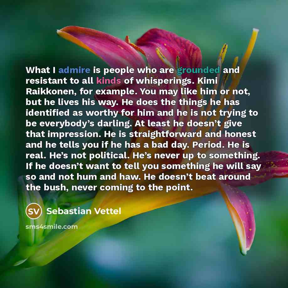 “What I admire is people who are grounded and resistant…” quote by Sebastian Vettel