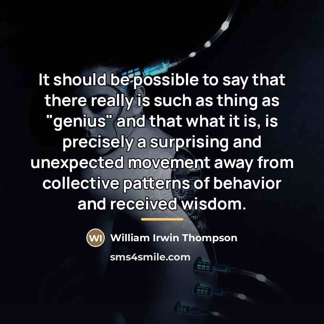“It should be possible to say that there really is…” quote by William Irwin Thompson