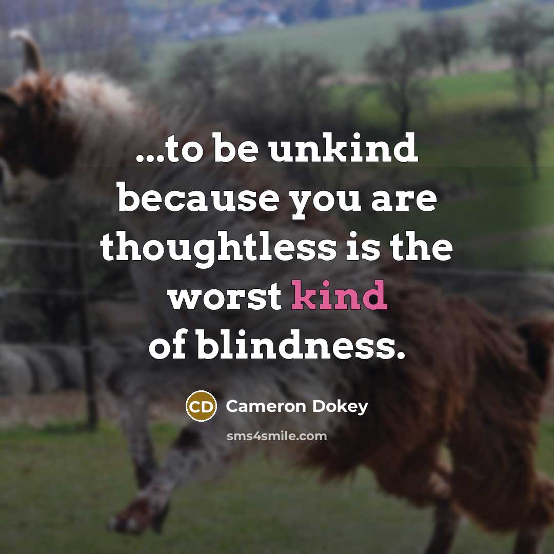 “...to be unkind because you are thoughtless is the worst…” quote by Cameron Dokey