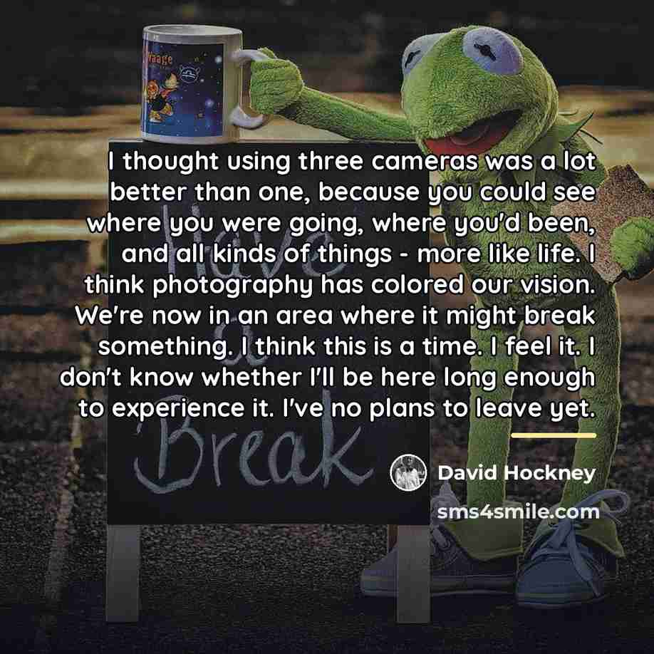 “I thought using three cameras was a lot better than…” quote by David Hockney