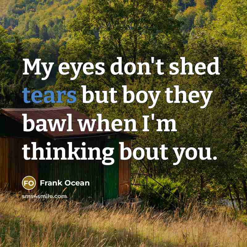 “My eyes don't shed tears but boy they bawl when I'm thinking bout you.” quote by Frank Ocean