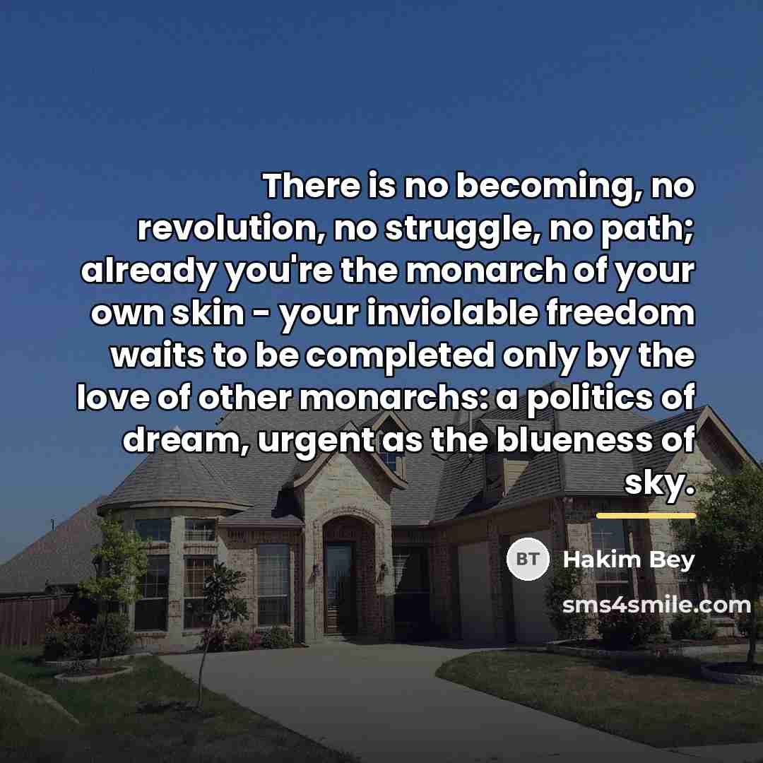 “There is no becoming, no revolution, no struggle, no path;…” quote by Hakim Bey