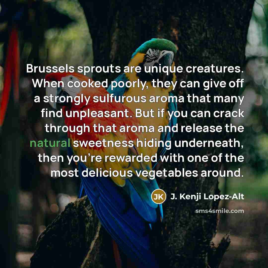 “Brussels sprouts are unique creatures. When cooked poorly, they can…” quote by J. Kenji Lopez-Alt