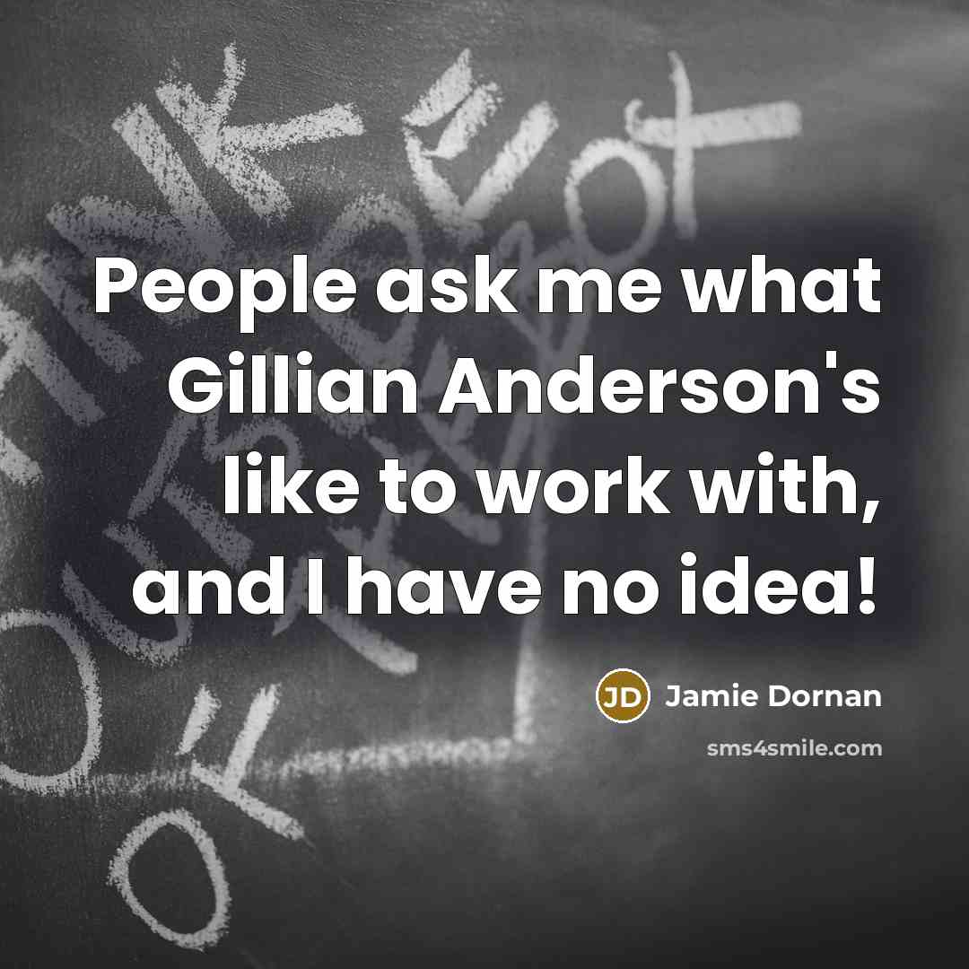 “People ask me what Gillian Anderson's like to work with,…” quote by Jamie Dornan