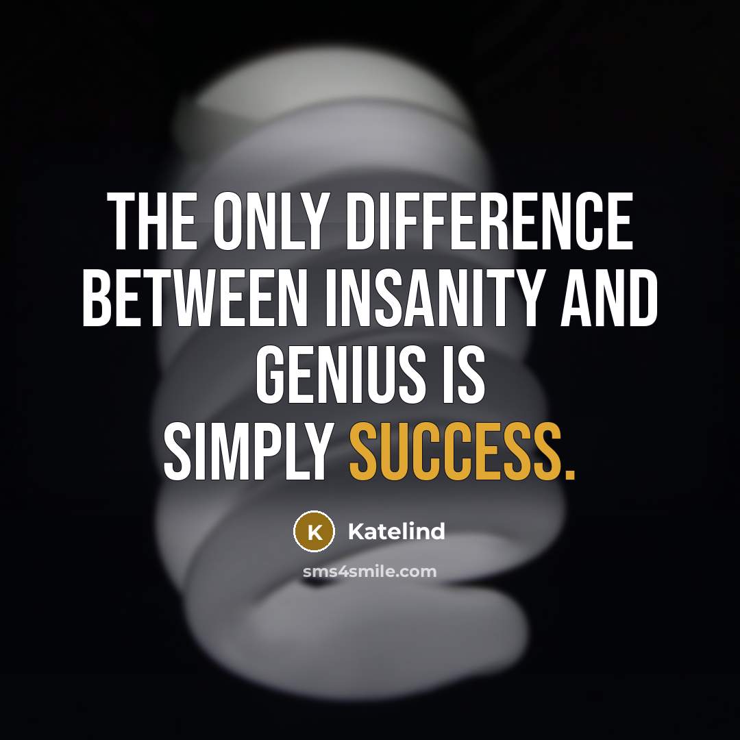 “The only difference between insanity and genius is simply success.” quote by Katelind