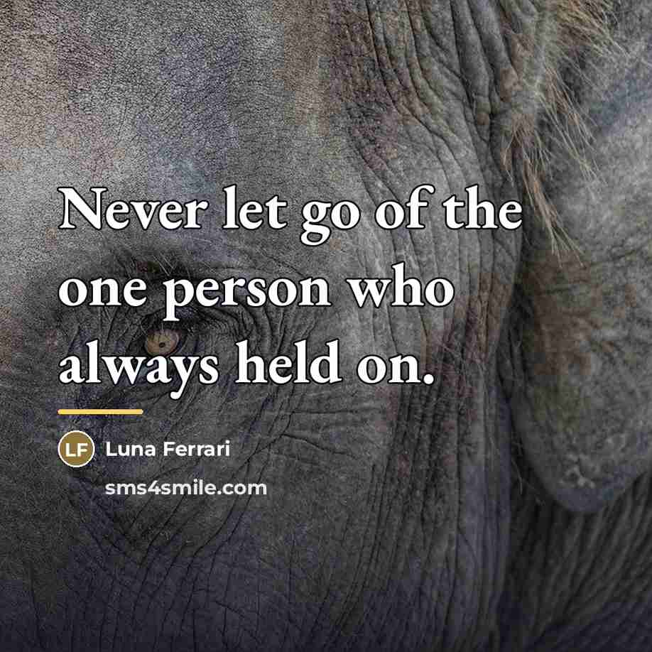 “Never let go of the one person who always held…” quote by Luna Ferrari