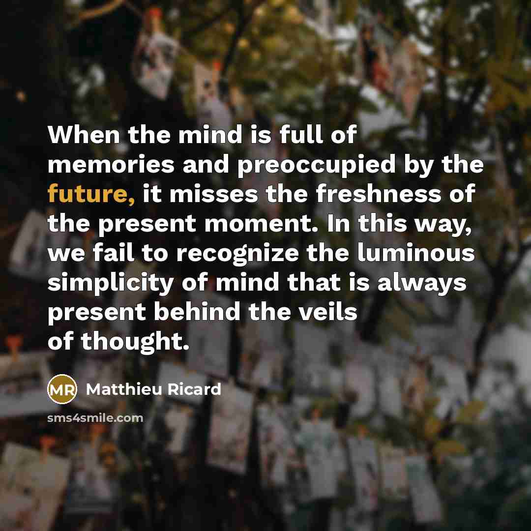 “When the mind is full of memories and preoccupied by…” quote by Matthieu Ricard