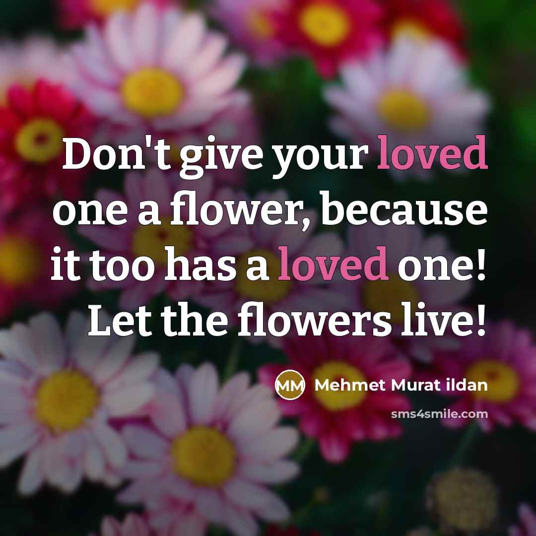 “Don't give your loved one a flower, because it too…” quote by Mehmet Murat Ildan