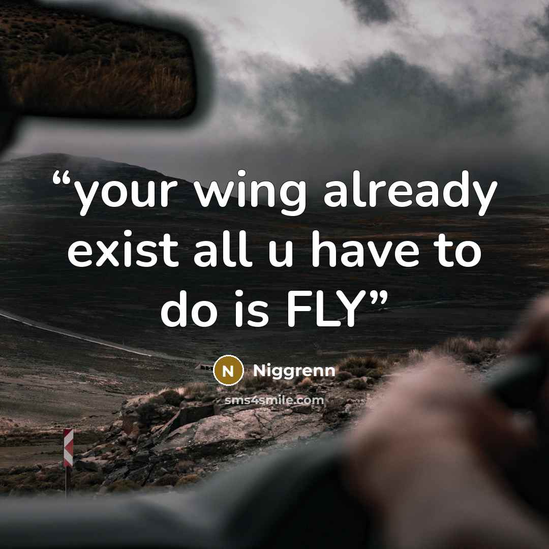 “your wing already exist all u have to do is FLY” quote by Niggrenn