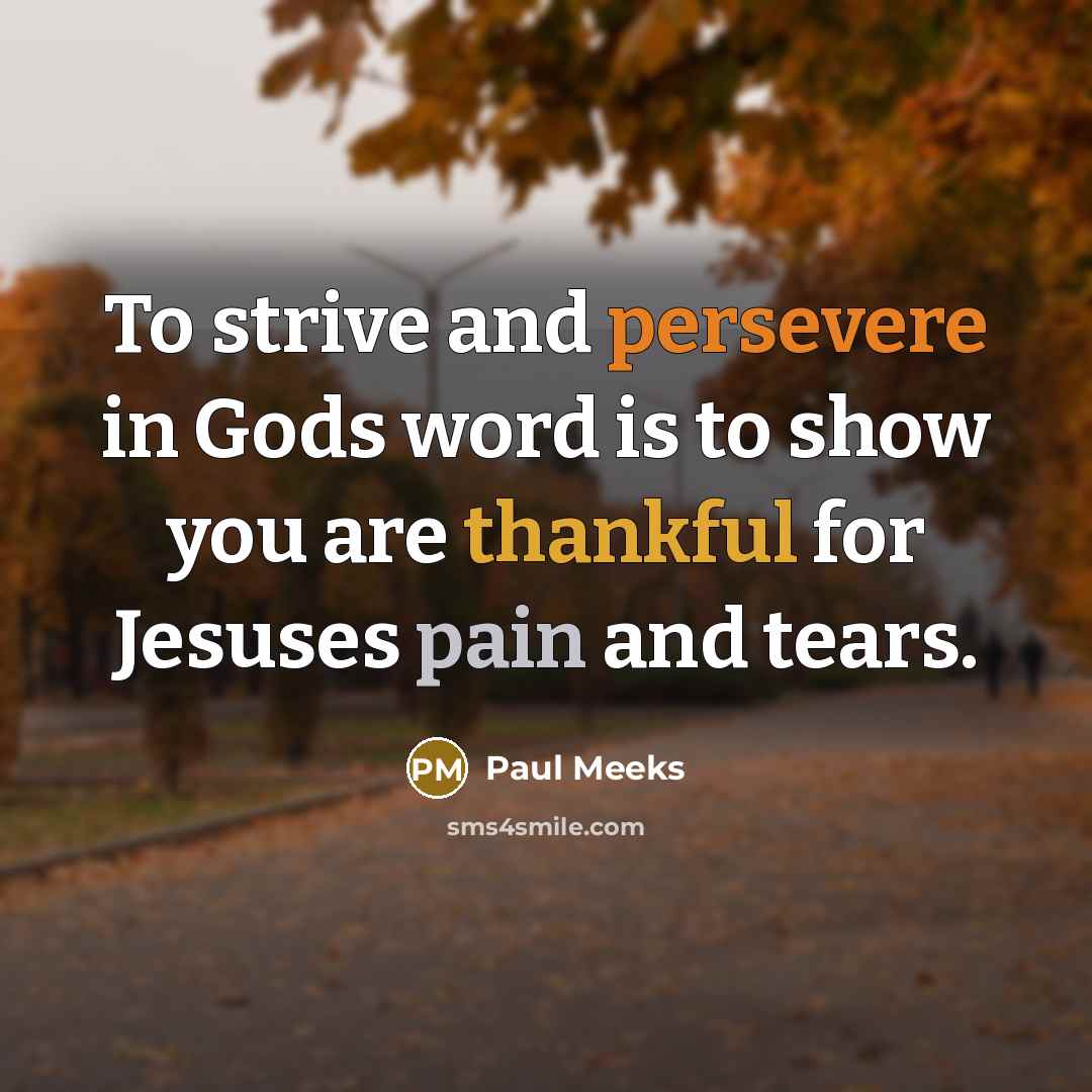 “To strive and persevere in Gods word is to show you are thankful for Jesuses pain and tears.” quote by Paul Meeks
