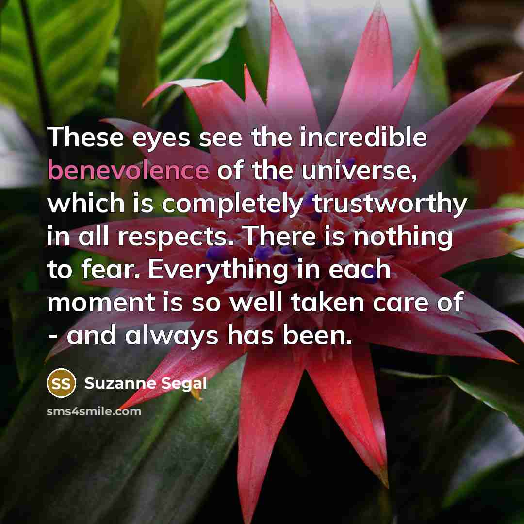“These eyes see the incredible benevolence of the universe, which…” quote by Suzanne Segal