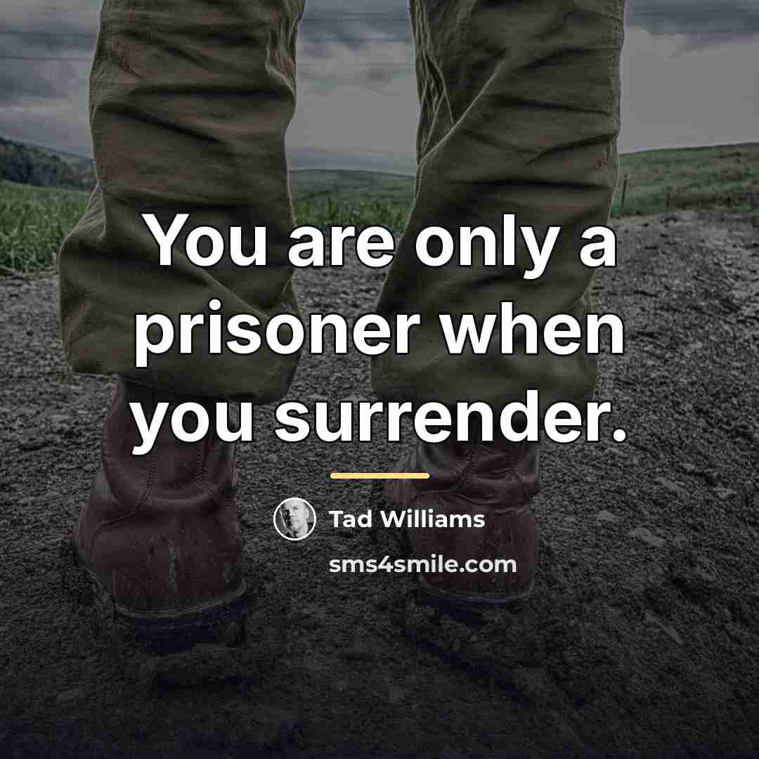 “You are only a prisoner when you surrender.…” quote by Tad Williams