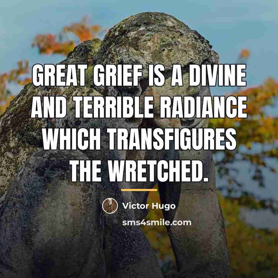 “Great grief is a divine and terrible radiance which transfigures…” quote by Victor Hugo