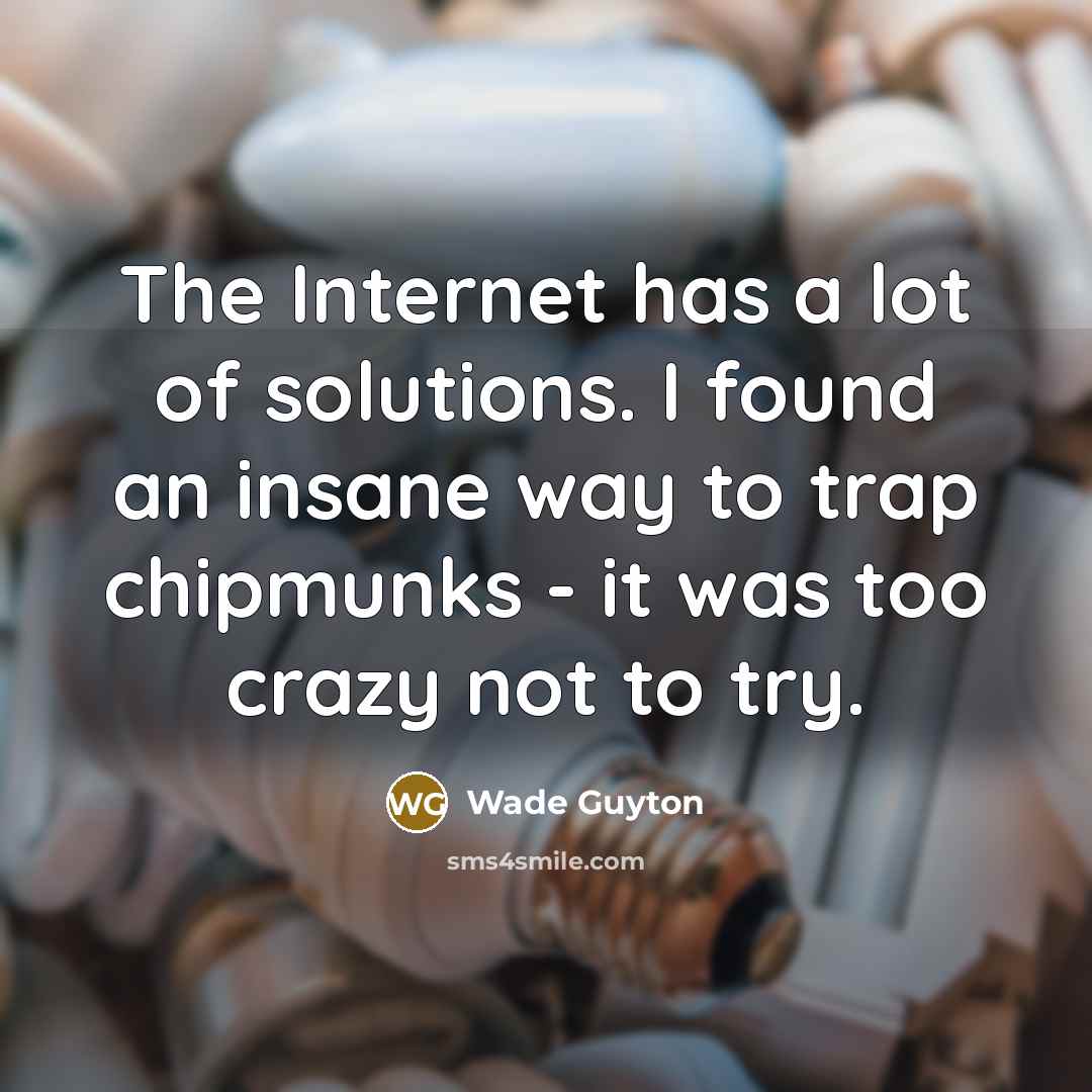 “The Internet has a lot of solutions. I found an…” quote by Wade Guyton