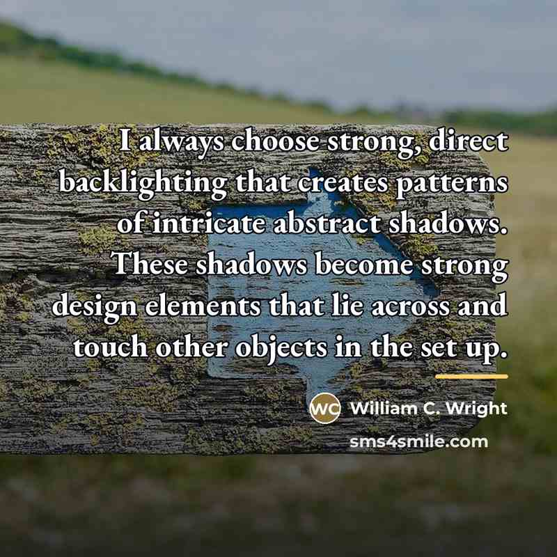 “I always choose strong, direct backlighting that creates patterns of…” quote by William C. Wright