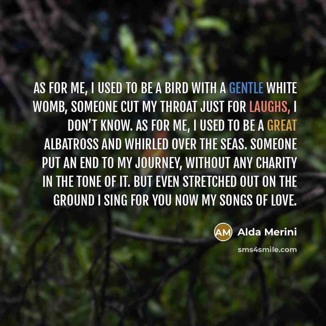 “As for me, I used to be a bird with…” quote by Alda Merini
